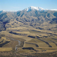 2023 Tatty Bogler Pinot Noir